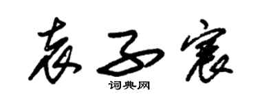 朱錫榮袁子宸草書個性簽名怎么寫