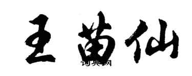 胡問遂王苗仙行書個性簽名怎么寫