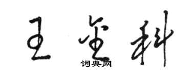 駱恆光王金科草書個性簽名怎么寫