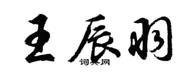 胡問遂王辰羽行書個性簽名怎么寫