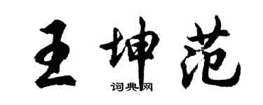 胡問遂王坤範行書個性簽名怎么寫