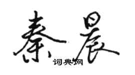 駱恆光秦晨行書個性簽名怎么寫