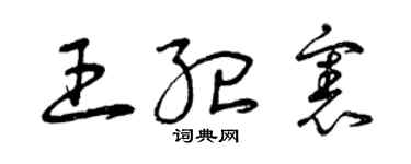 曾慶福王紀憲草書個性簽名怎么寫