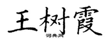 丁謙王樹霞楷書個性簽名怎么寫