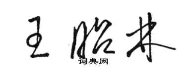 駱恆光王昭林草書個性簽名怎么寫