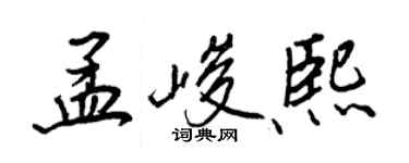 王正良孟峻熙行書個性簽名怎么寫