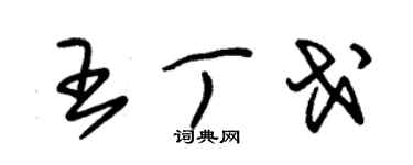 朱錫榮王丁戈草書個性簽名怎么寫