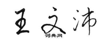 駱恆光王文沛行書個性簽名怎么寫