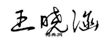 曾慶福王曉涵草書個性簽名怎么寫