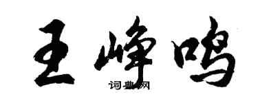 胡問遂王崢鳴行書個性簽名怎么寫