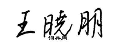 王正良王曉朋行書個性簽名怎么寫