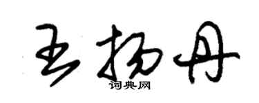 朱錫榮王揚丹草書個性簽名怎么寫