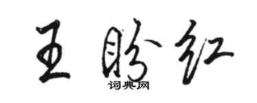 駱恆光王盼紅行書個性簽名怎么寫