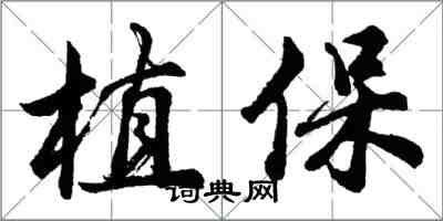 胡問遂植保行書怎么寫