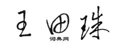 駱恆光王田珠草書個性簽名怎么寫