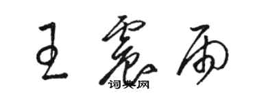 駱恆光王震雨草書個性簽名怎么寫