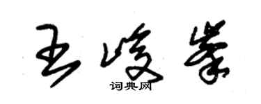 朱錫榮王峻峰草書個性簽名怎么寫