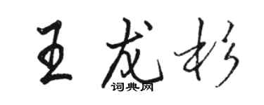 駱恆光王龍杉行書個性簽名怎么寫