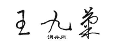 駱恆光王九菊草書個性簽名怎么寫