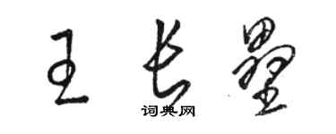 駱恆光王長壘草書個性簽名怎么寫