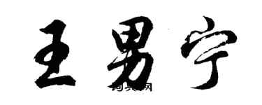 胡問遂王男寧行書個性簽名怎么寫