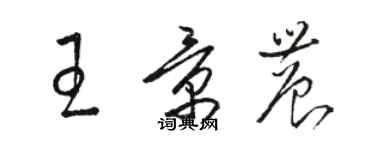 駱恆光王景農草書個性簽名怎么寫