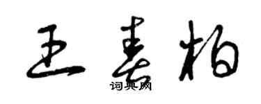 曾慶福王春柏草書個性簽名怎么寫