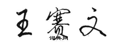 駱恆光王賽文行書個性簽名怎么寫