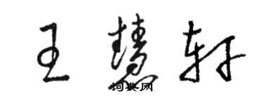 駱恆光王慧軒草書個性簽名怎么寫