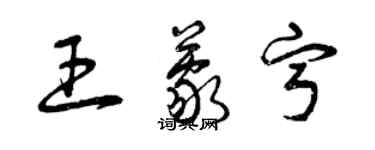 曾慶福王蒙寧草書個性簽名怎么寫