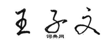 駱恆光王子文行書個性簽名怎么寫