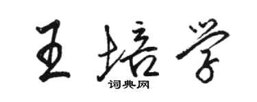 駱恆光王培學行書個性簽名怎么寫