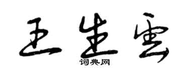 曾慶福王生雲草書個性簽名怎么寫