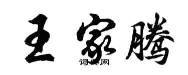 胡問遂王家騰行書個性簽名怎么寫