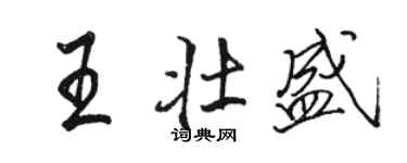 駱恆光王壯盛行書個性簽名怎么寫