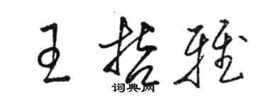 駱恆光王哲雅草書個性簽名怎么寫