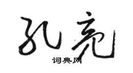 駱恆光孔亮草書個性簽名怎么寫