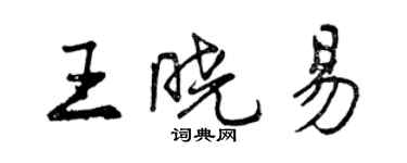 曾慶福王曉易行書個性簽名怎么寫