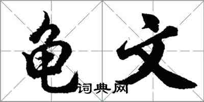 胡問遂龜文行書怎么寫