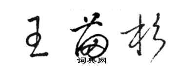 駱恆光王苗杉草書個性簽名怎么寫