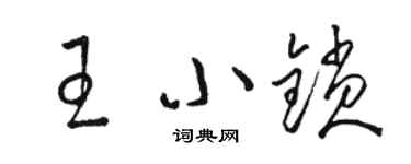 駱恆光王小鎖草書個性簽名怎么寫