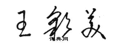 駱恆光王彩美草書個性簽名怎么寫