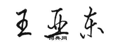 駱恆光王亞東行書個性簽名怎么寫