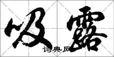 胡問遂吸露行書怎么寫