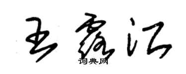 朱錫榮王露江草書個性簽名怎么寫