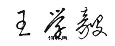 駱恆光王學毅草書個性簽名怎么寫