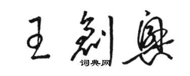 駱恆光王創興草書個性簽名怎么寫