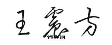 駱恆光王震方草書個性簽名怎么寫