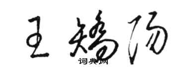 駱恆光王矯陽草書個性簽名怎么寫