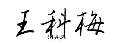 王正良王科梅行書個性簽名怎么寫
